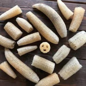 Natural Loofah Luffa